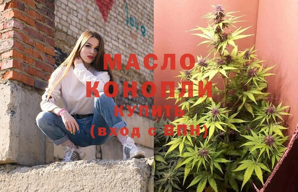 амф Бородино