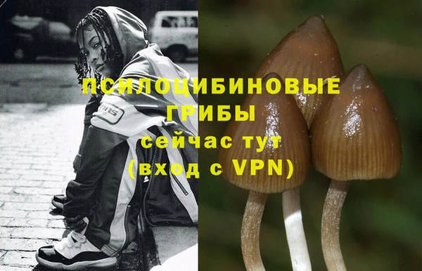 мдпв Наволоки